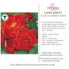 Love Knot Patio Climbing Rose Root Wrapped