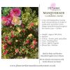 Masquerade Climbing Rose Root Wrapped