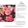 Open Arms Patio Climbing Rose Root Wrapped