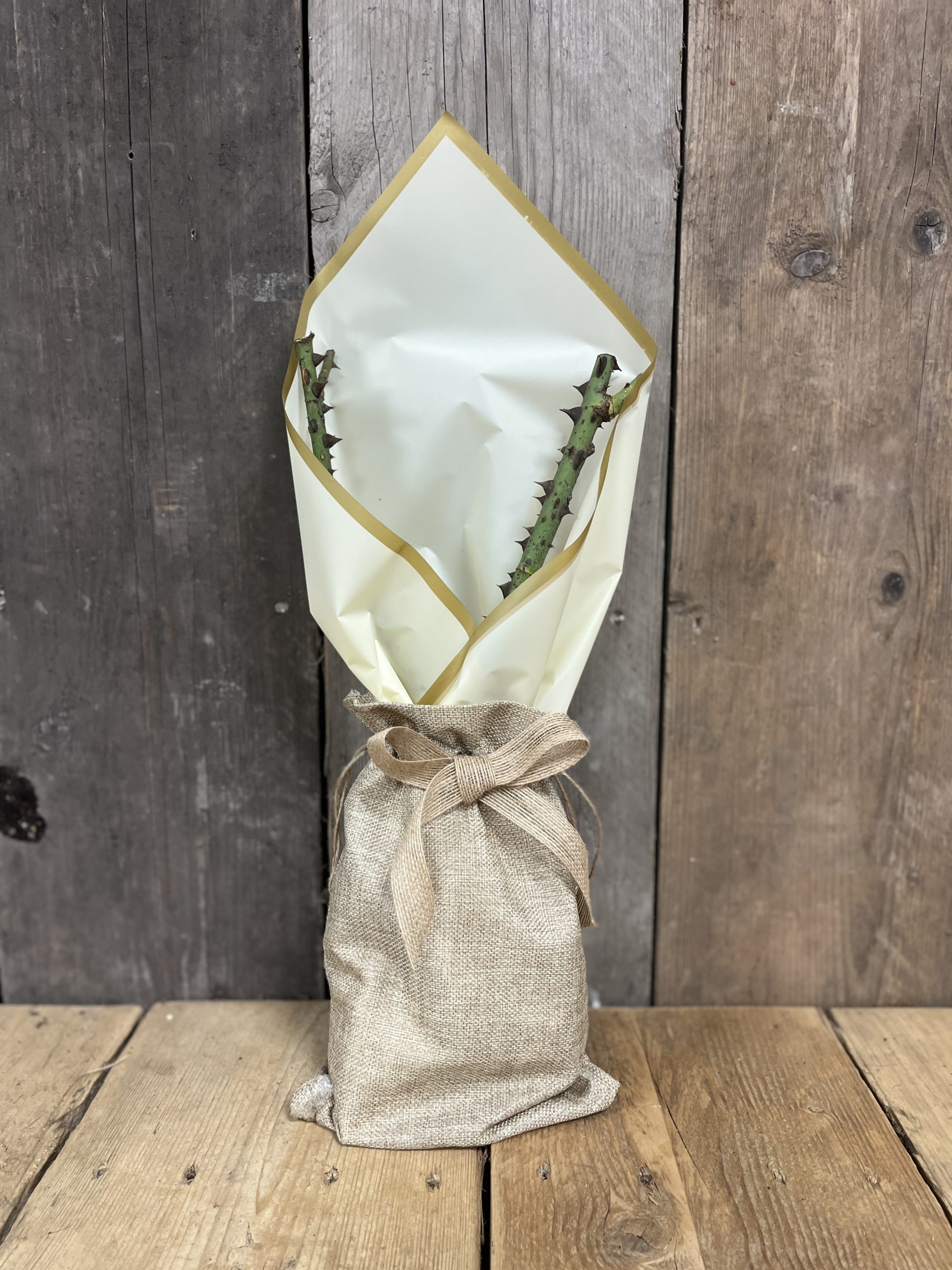 Living Gift Rose, Champagne Moment, Gift Wrapped - Image 2