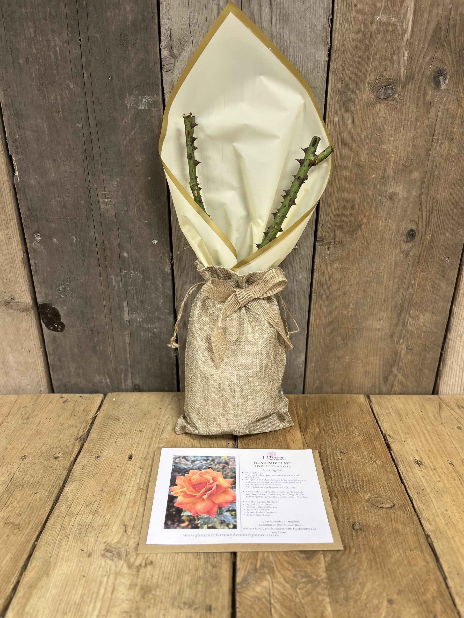 Living Gift Rose, Remember Me, Gift Wrapped - Image 2