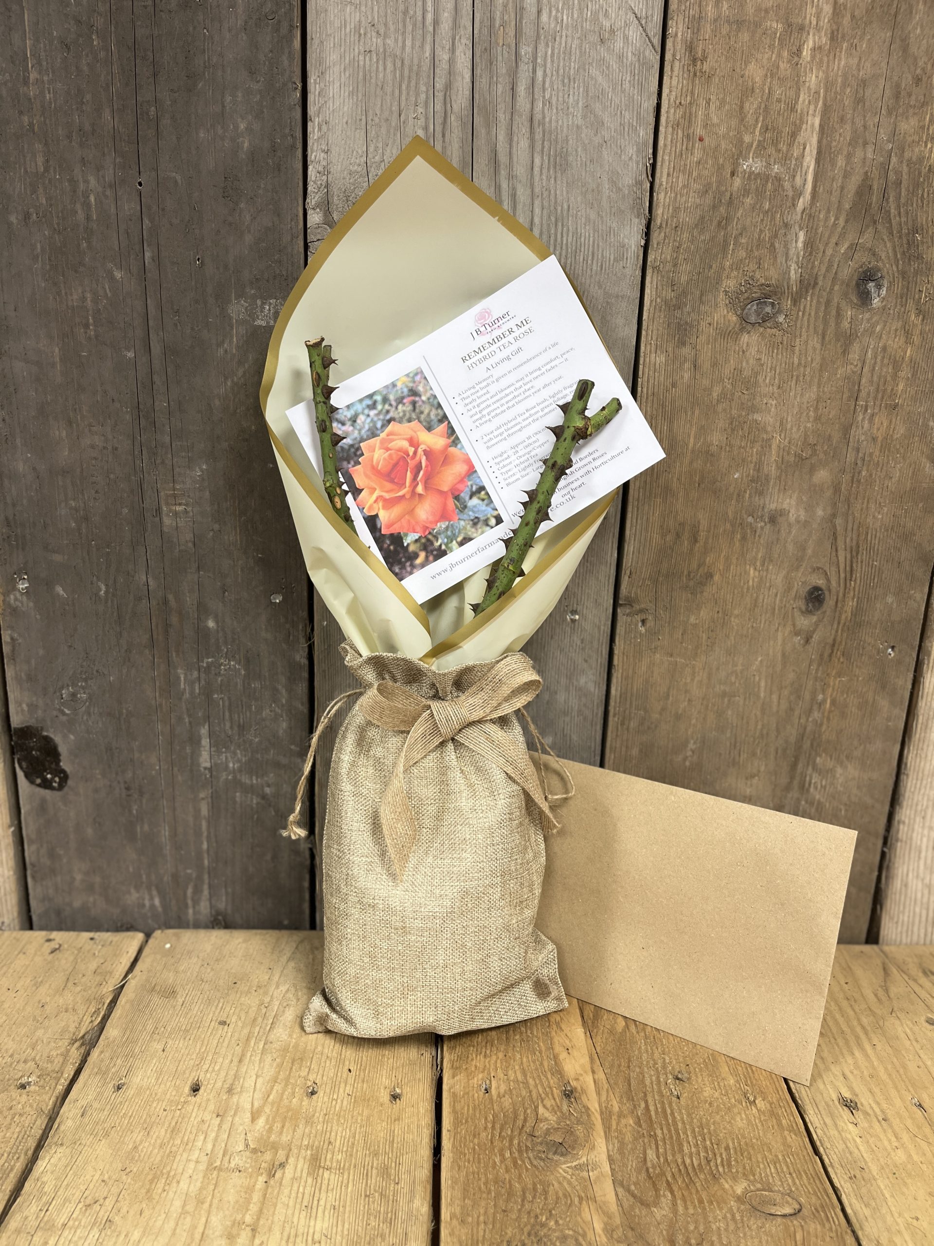 Living Gift Rose, Remember Me, Gift Wrapped